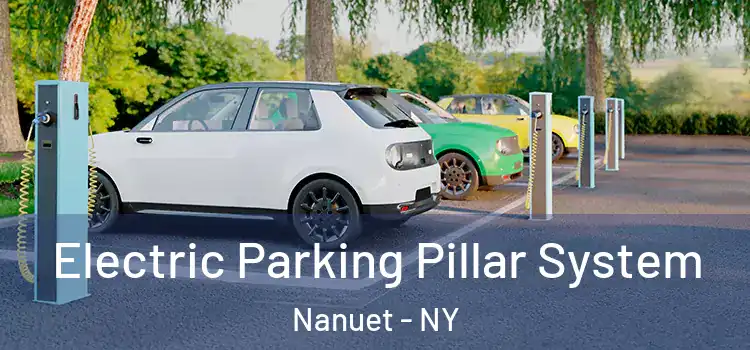  Electric Parking Pillar System Nanuet - NY