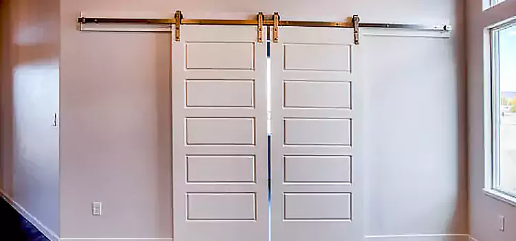 Glass Barn Door with Installation Hardware Kit Nanuet