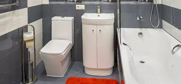 Hansgrohe Shaving Mirror Nanuet