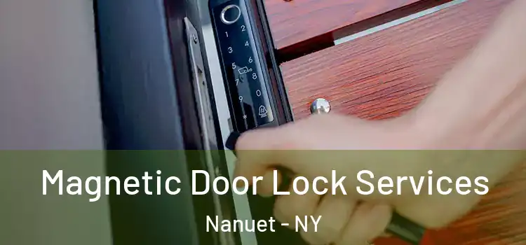 Magnetic Door Lock Services Nanuet - NY