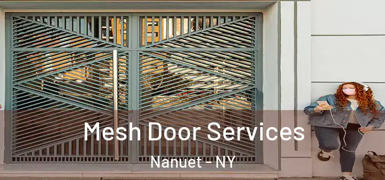 Mesh Door Services Nanuet - NY