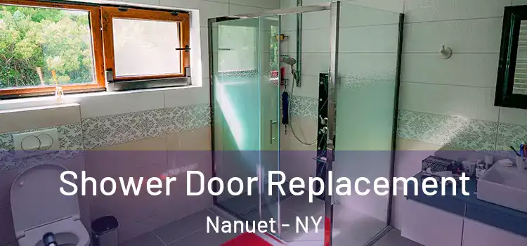 Shower Door Replacement Nanuet - NY